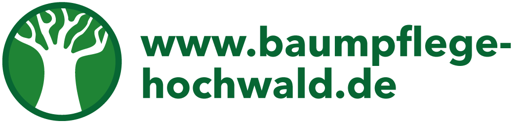 Baumpflege-Hochwald